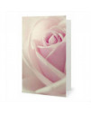 Greeting Card The Rose Teleflora